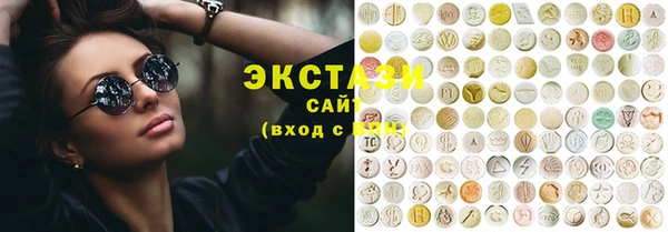 индика Гатчина