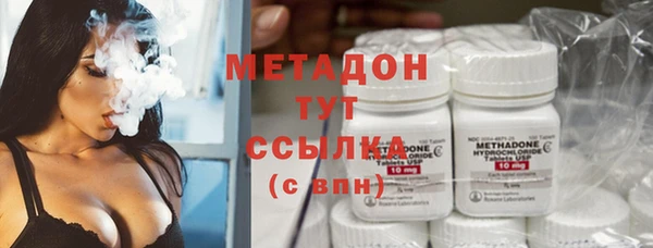 индика Пестово