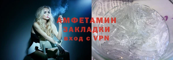 индика Пестово