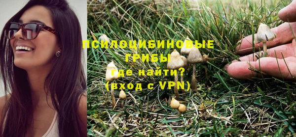 гидропоника Абаза