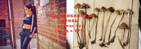 индика Пестово