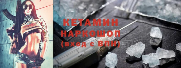 индика Пестово