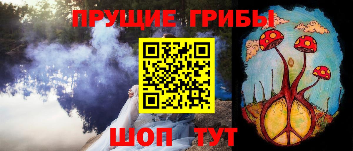 Псилоцибиновые грибы Psilocybine cubensis Фрязино