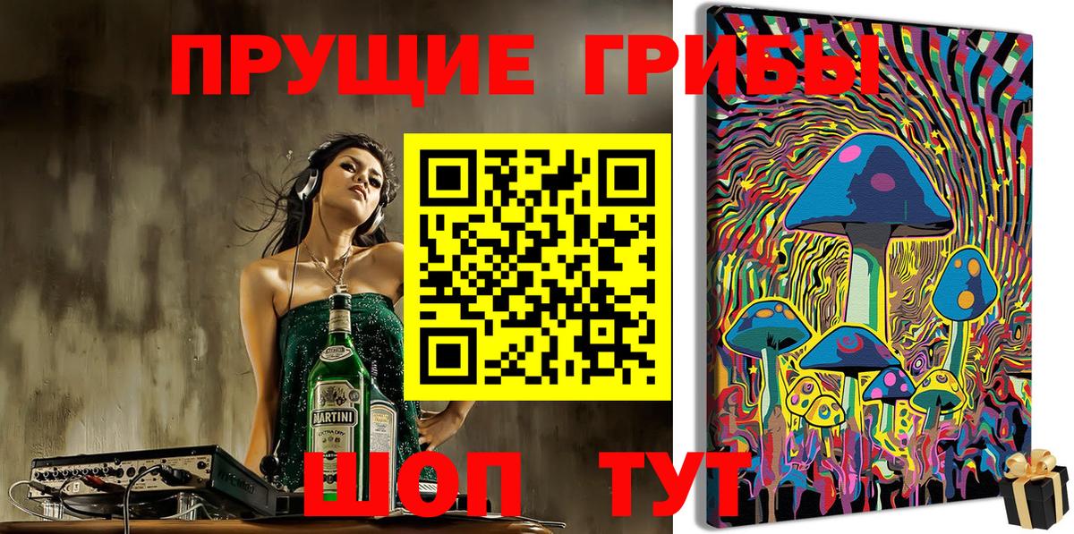 Фрязино  Галлюциногенные грибы MAGIC MUSHROOMS  Псилоцибиновые грибы мухоморы  Вход с VPN 