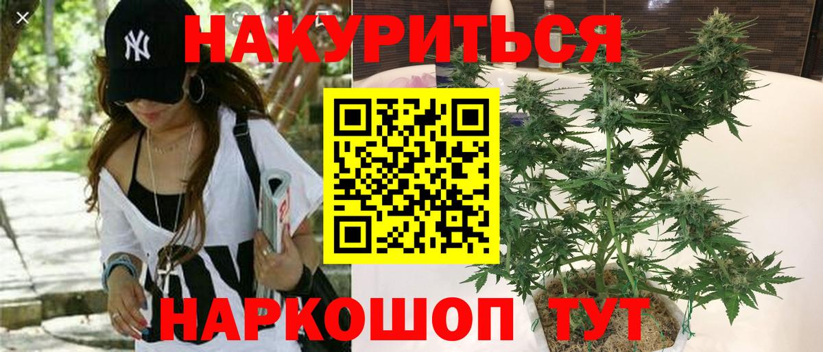 Канабис OG Kush  МАРИХУАНА конопля  Вход с VPN  Фрязино  Шишки марихуана ГИДРОПОН 